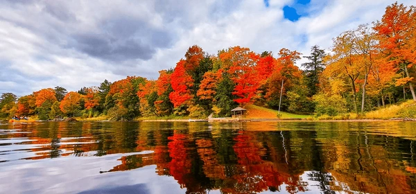 beautiful-autumn-reflected-on