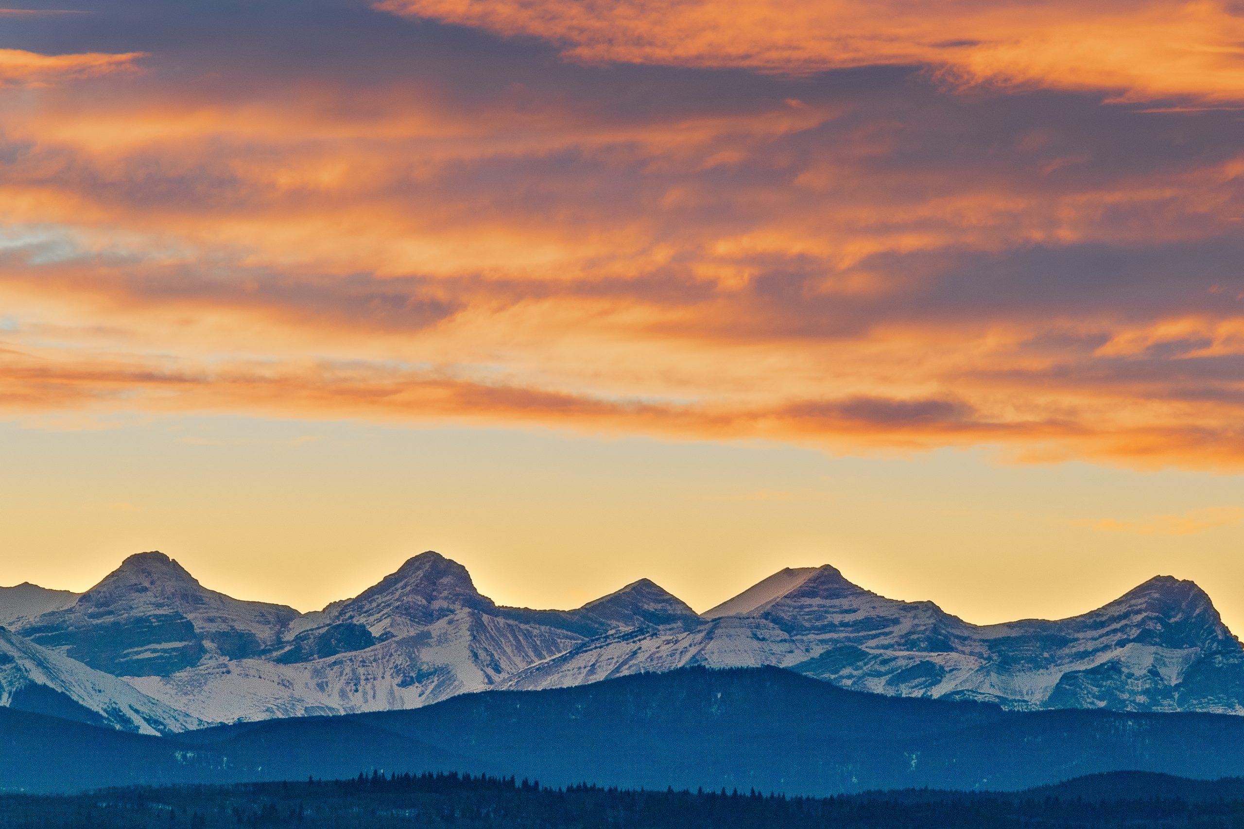 Cochrane-Alberta-Casa-Co-Host-Airbnb